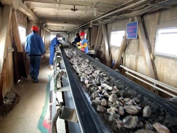 สายพานลำเลียงยางแบนแบบทนความร้อนสำหรับการขุดถ่านหิน 130 - 320 T / H